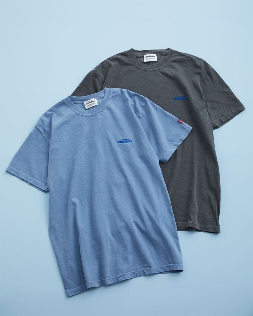 静岡ブルーレヴズ