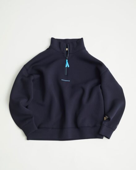 株式会社プログデンス