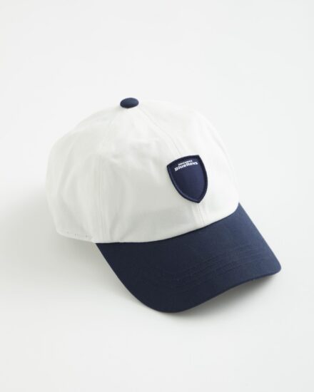 静岡ブルーレヴズ