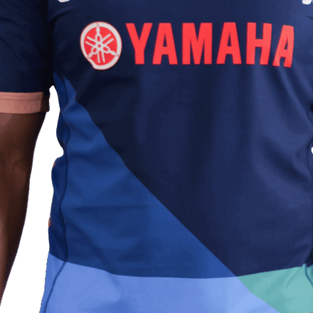 静岡ブルーレヴズ