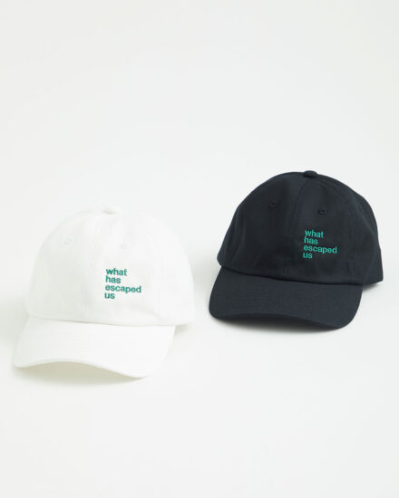 アペルト19 森本啓太 what has escaped us