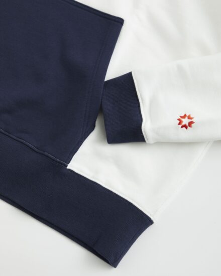 静岡ブルーレヴズ