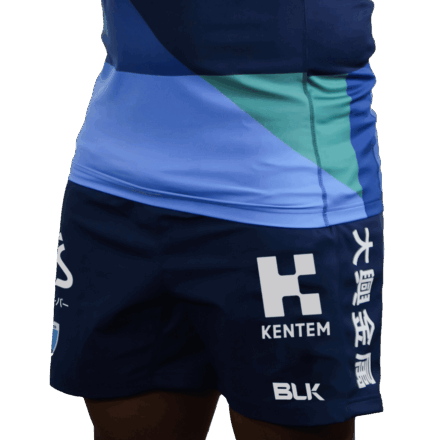 静岡ブルーレヴズ