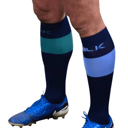 静岡ブルーレヴズ