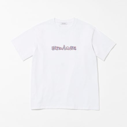 稲とアガベ