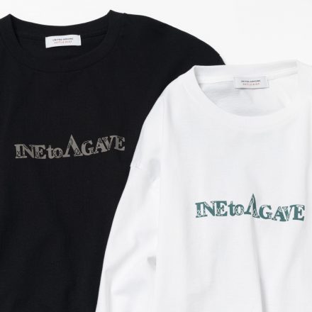 稲とアガベ
